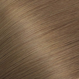 6-Star-Bliss Extensions Era