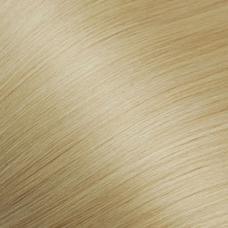 6-Star-Bliss Extensions Era